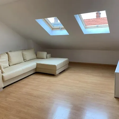 Cozy Little 2-room Retreat, A Tranquil Haven! Apartment Mulhouse